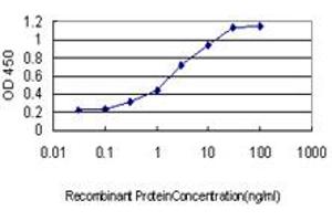 Detection limit for recombinant GST tagged GRID1 is approximately 0. (GRID1 抗体  (AA 349-441))