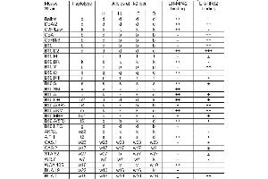 anti-MHC Class I, H-2 antibody