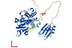 Protein Structure (PS) image for Methenyltetrahydrofolate Synthetase Domain Containing (MTHFSD) (AA 1-372) protein (His tag) (ABIN7557268)