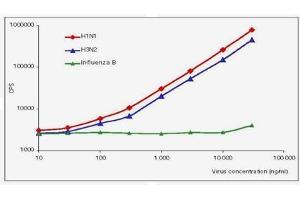 ELISA image for anti-Influenza A Virus antibody (Influenza A Virus H1N1) (ABIN263825) (Influenza A Virus 抗体 (Influenza A Virus H1N1))