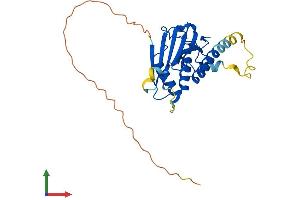 Protein Structure (PS) image for MAD2L1 Binding Protein (MAD2L1BP) (AA 1-274) protein (His tag) (ABIN7549377)