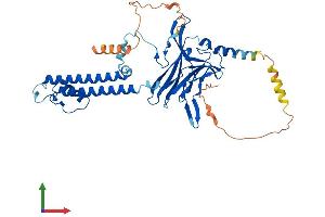 Protein Structure (PS) image for Potassium Inwardly-Rectifying Channel, Subfamily J, Member 14 (KCNJ14) (AA 1-436) protein (His tag) (ABIN7554221)
