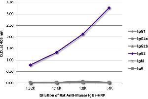 ELISA plate was coated with purified mouse IgG1, IgG2a, IgG2b, IgG3, IgM, and IgA. (大鼠 anti-小鼠 IgG3 Antibody (HRP))