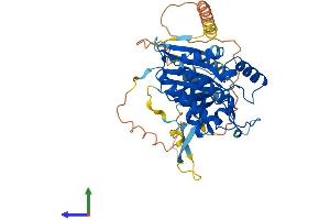 Protein Structure (PS) image for Inositol Hexakisphosphate Kinase 2 (IP6K2) (AA 1-448) protein (His tag) (ABIN7558353)