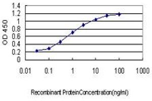 Detection limit for recombinant GST tagged SALF is approximately 0. (GTF2A1 抗体  (AA 141-249))