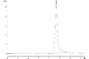 Size-exclusion chromatography-High Pressure Liquid Chromatography (SEC-HPLC) image for Aspartate beta-Hydroxylase (ASPH) (AA 324-741) protein (His tag) (ABIN7273879)