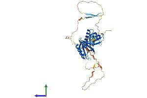 Protein Structure (PS) image for Pleckstrin Homology Domain Containing Family A2 (PLEKHA2) (AA 1-425) protein (His tag) (ABIN7561446)