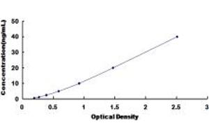 Typical standard curve (MC2R ELISA 试剂盒)