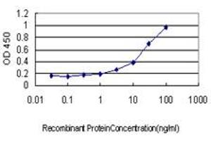 Detection limit for recombinant GST tagged NODAL is approximately 1ng/ml as a capture antibody. (Nodal 抗体  (AA 275-346))