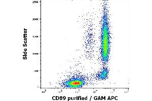 Flow cytometry surface staining pattern of human peripheral whole blood stained using anti-human CD89 (A59) purified antibody (concentration in sample 3 μg/mL) GAM APC. (FCAR 抗体)
