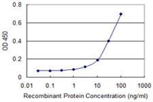 Detection limit for recombinant GST tagged CAP2 is approximately 10ng/ml as a capture antibody. (CAP2 抗体  (AA 1-477))