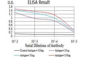 Black line: Control Antigen (100 ng),Purple line: Antigen (10 ng), Blue line: Antigen (50 ng), Red line:Antigen (100 ng) (Thrombospondin 1 抗体  (AA 750-850))