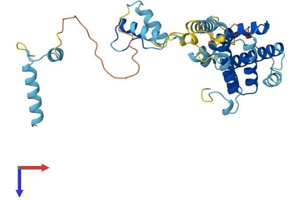PRPF18 Protein (AA 1-342) (His tag)