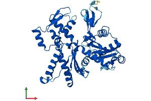 Protein Structure (PS) image for Actin-Related Protein 2 (ACTR2) (AA 1-394) protein (His tag) (ABIN7556571)