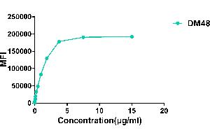 Flow cytometry data of serially titrated Rabbit anti-ACE2 monoclonal antibody (clone: DM48) on Expi 293 cell line transfected with human ACE2.