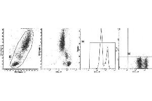 Image no. 1 for anti-Protein tyrosine Phosphatase, Receptor Type, C (PTPRC) antibody (APC) (ABIN1106393) (CD45 抗体  (APC))