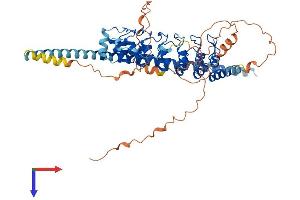POTE Ankyrin Domain Family, Member B2 (POTEB2) (AA 1-544) protein (His tag)