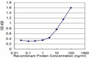 Detection limit for recombinant GST tagged NOLC1 is approximately 1ng/ml as a capture antibody. (NOLC1 抗体  (AA 590-699))