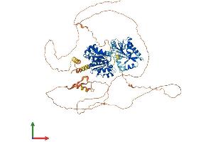 Protein Structure (PS) image for DEAD (Asp-Glu-Ala-Asp) Box Polypeptide 20 (DDX20) (AA 1-824) protein (His tag) (ABIN7553663)