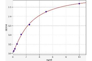 Typical standard curve (AAK1 ELISA 试剂盒)