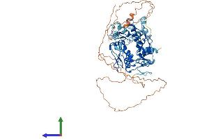 Protein Structure (PS) image for HKR1, GLI-Kruppel Zinc Finger Family Member (HKR1) (AA 1-659) protein (His tag) (ABIN7548328)