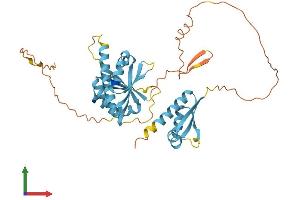 Protein Structure (PS) image for Poly(rC) Binding Protein 3 (PCBP3) (AA 1-371) protein (His tag) (ABIN7556502)