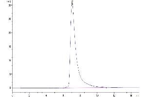 Size-exclusion chromatography-High Pressure Liquid Chromatography (SEC-HPLC) image for CD84 (CD84) (AA 22-225) protein (His-Avi Tag) (ABIN7274257)