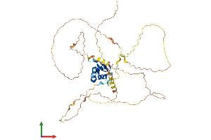 Protein Structure (PS) image for Forkhead Box D4 (FOXD4) (AA 1-439) protein (His tag) (ABIN7547778)