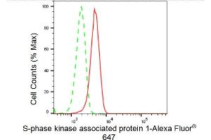 Flow cytometric analysis of S-phase kinase associated protein 1 expression in HeLa cells using S-phase kinase associated protein 1 antibody (ABIN7800267), 1:2,000). (Recombinant SKP1 抗体)