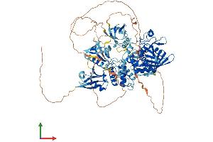 Protein Structure (PS) image for Protein tyrosine Phosphatase, Non-Receptor Type 3 (PTPN3) (AA 1-913) protein (His tag) (ABIN7555087)