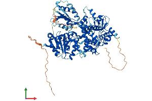 AlphaFold protein structure predicition of Mouse Recombinant Dhx32 Protein, UniprotID Q8BZS9