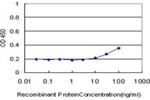 Detection limit for recombinant GST tagged HEYL is approximately 10ng/ml as a capture antibody. (HEYL 抗体  (AA 221-327))