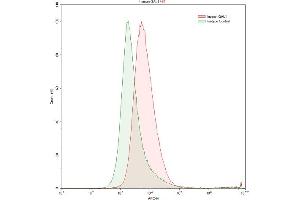 Detection of GAL1 in K562 human chronic myelogenous leukemia cell line using Polyclonal Antibody to Galectin 1 (GAL1) (LGALS1/Galectin 1 抗体  (AA 1-135))