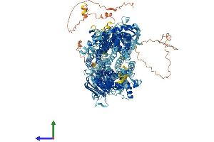 Protein Structure (PS) image for ATP-Binding Cassette, Sub-Family C (CFTR/MRP), Member 5 (ABCC5) (AA 1-1436) protein (His tag) (ABIN7565195)