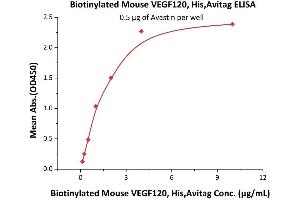 ELISA image for Vascular Endothelial Growth Factor A (VEGFA) (AA 27-146) (Active) protein (His tag,AVI tag,Biotin) (ABIN6809988)