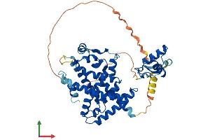 AlphaFold protein structure predicition of Mouse Recombinant Ppard Protein, UniprotID P35396 (PPARD Protein (AA 1-440) (His tag))