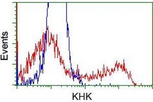 HEK293T cells transfected with either RC202424 overexpress plasmid (Red) or empty vector control plasmid (Blue) were immunostained by anti-KHK antibody (ABIN2453199), and then analyzed by flow cytometry. (Ketohexokinase 抗体)