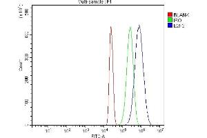 Flow Cytometry analysis of HL-60 cells using anti-E2F3 antibody (ABIN7601034). (E2F3 抗体  (AA 270-320))