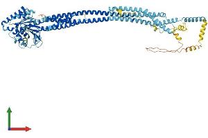 Protein Structure (PS) image for Mitofusin 1 (MFN1) (AA 1-741) protein (His tag) (ABIN7564319)