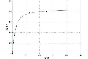 Lipase, Endothelial (LIPG) ELISA Kit