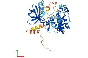 AlphaFold protein structure predicition of Mouse Recombinant Pnck Protein, UniprotID Q9QYK9