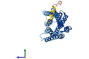 Protein Structure (PS) image for Retinal G Protein Coupled Receptor (RGR) (AA 1-291) protein (His tag) (ABIN7556416)