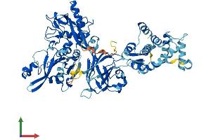 Protein Structure (PS) image for Calpain 9 (CAPN9) (AA 1-690) protein (His tag) (ABIN7561105)