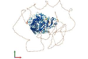 Protein Structure (PS) image for alpha-Kinase 1 (ALPK1) (AA 1-1231) protein (His tag) (ABIN7564957)