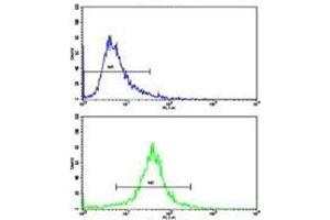 Flow Cytometry (FACS) image for anti-Isocitrate Dehydrogenase 1 (NADP+), Soluble (IDH1) (AA 63-90) antibody (ABIN3031507)