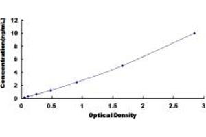 Typical standard curve (DUSP5 ELISA 试剂盒)