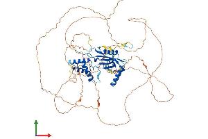 Protein Structure (PS) image for CDKN2A Interacting Protein (CDKN2AIP) (AA 1-689) protein (His tag) (ABIN7559923)