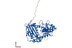 AlphaFold protein structure predicition of Mouse Recombinant Bcat1 Protein, UniprotID P24288 (BCAT1 Protein (AA 1-386) (His tag))
