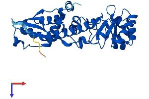Protein Structure (PS) image for Quinolinate Phosphoribosyltransferase (QPRT) (AA 1-299) protein (His tag) (ABIN7560077)