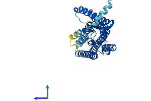 AlphaFold protein structure predicition of Mouse Recombinant Olfr143 Protein, UniprotID P34985 (OLFR143 Protein (AA 1-313) (His tag))